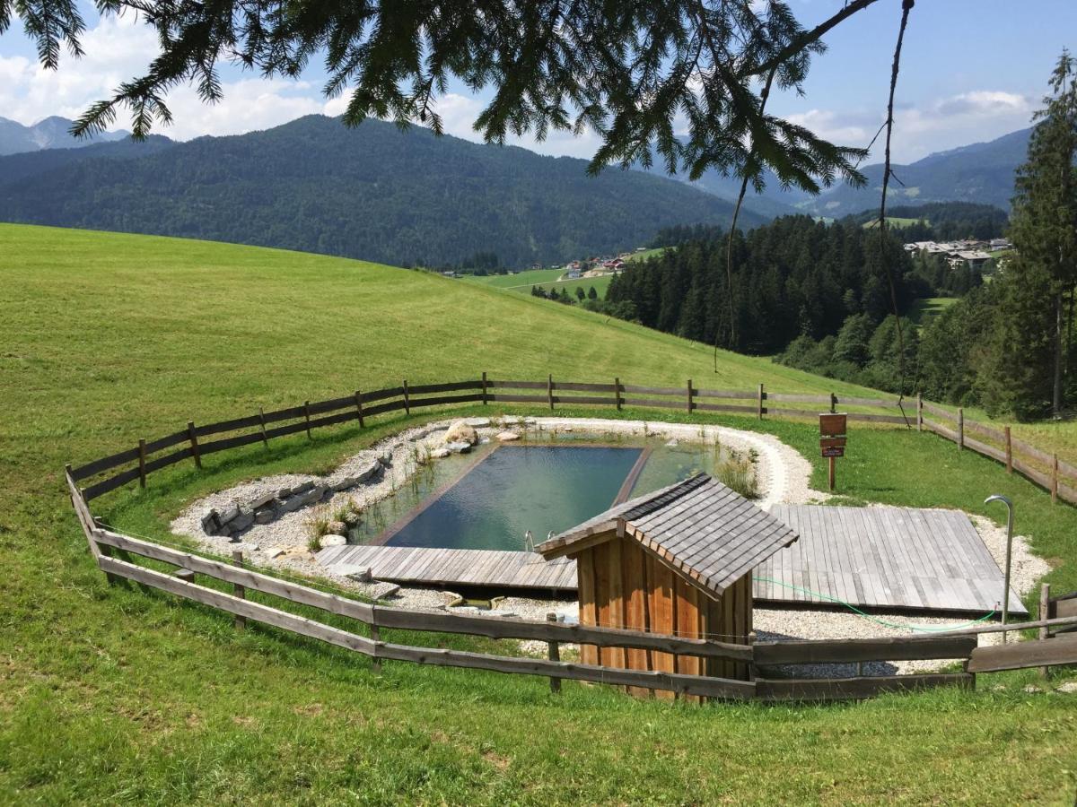 Sonnleit'N Zimmer 7 Abtenau Exterior foto